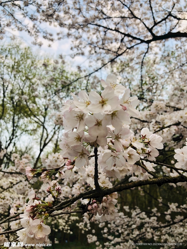 太子湾