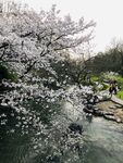 太子湾公园 