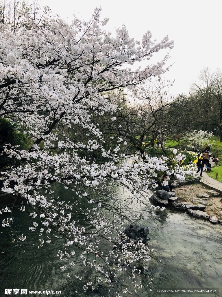 太子湾公园 