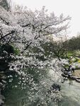 太子湾公园