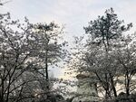 太子湾公园