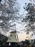 太子湾