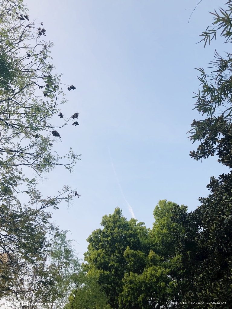 天空