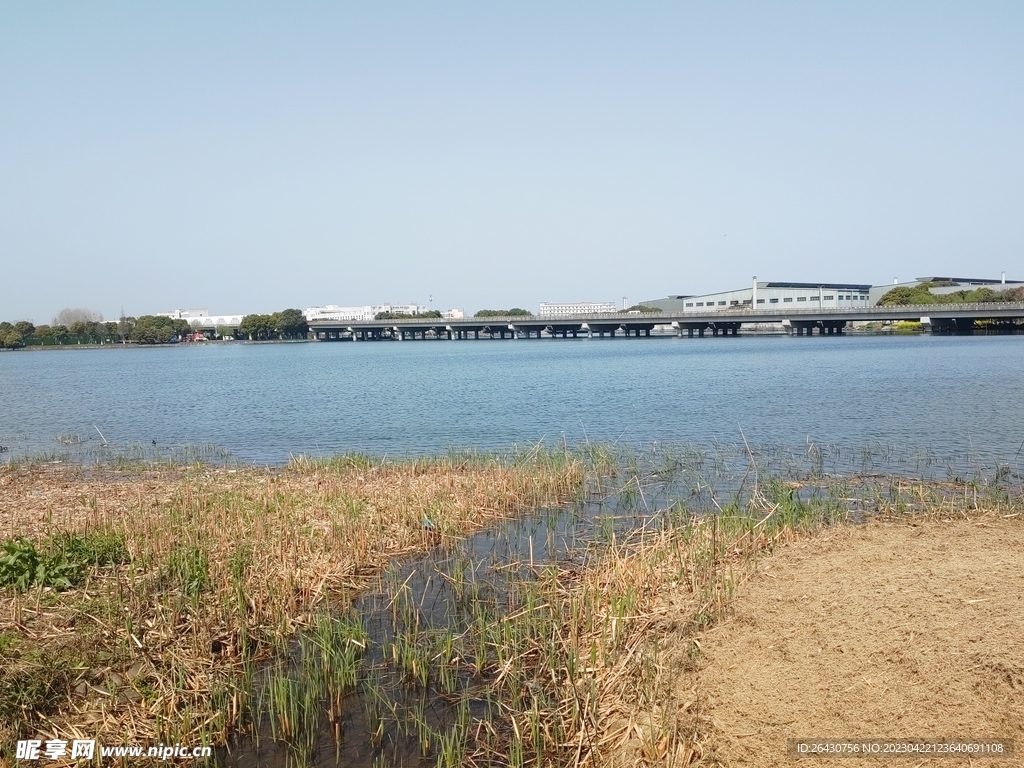 湖边浅滩草地