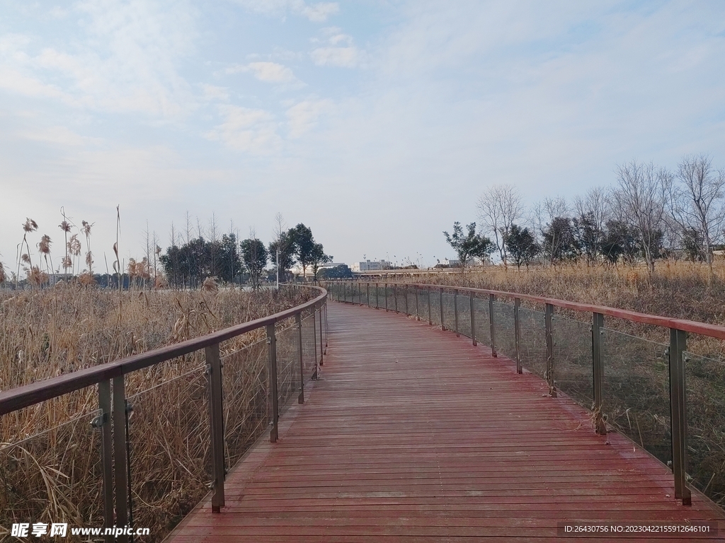 秋天公园景观步道