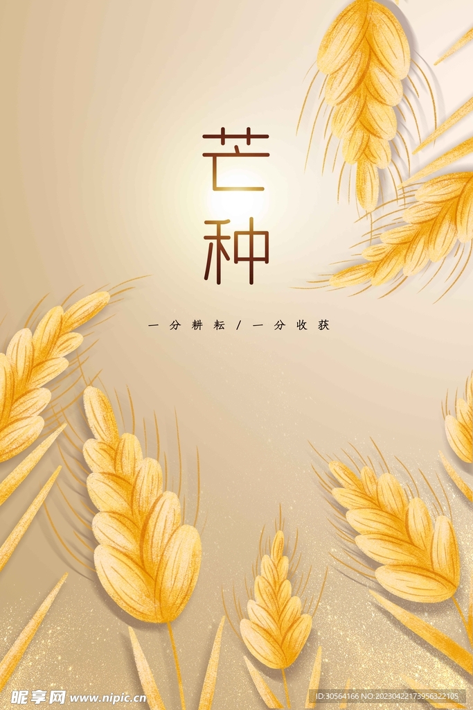 芒种