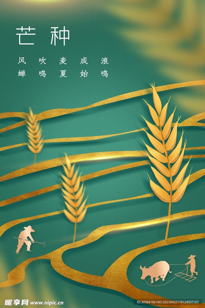 芒种