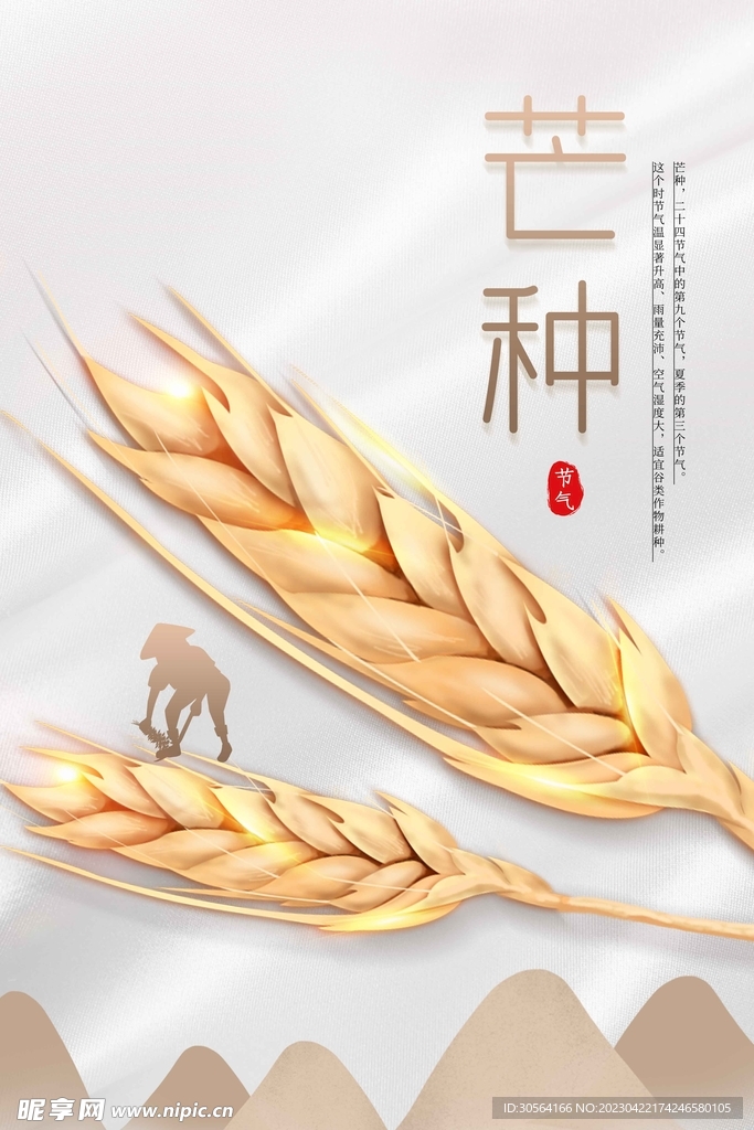 芒种