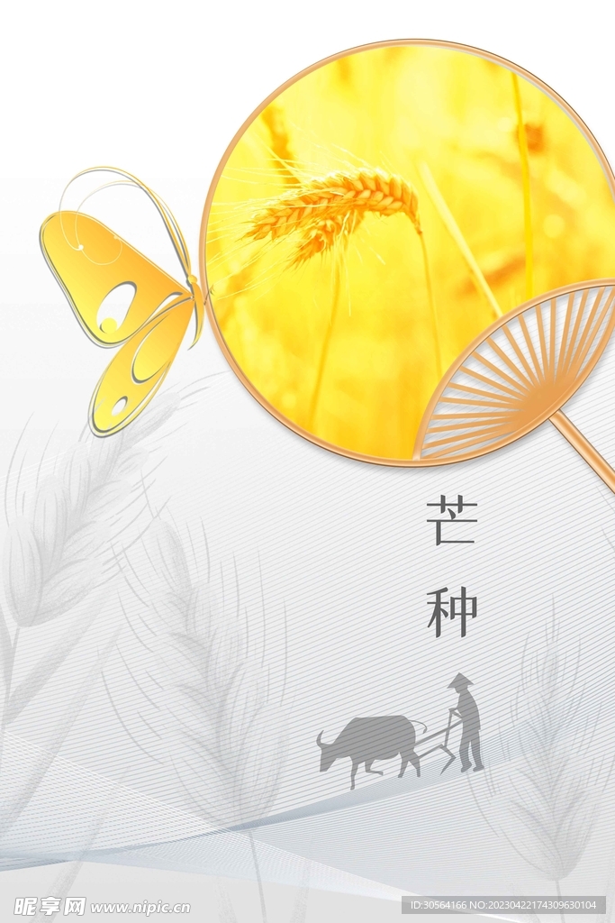 芒种