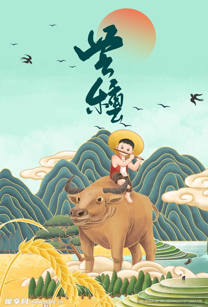 芒种