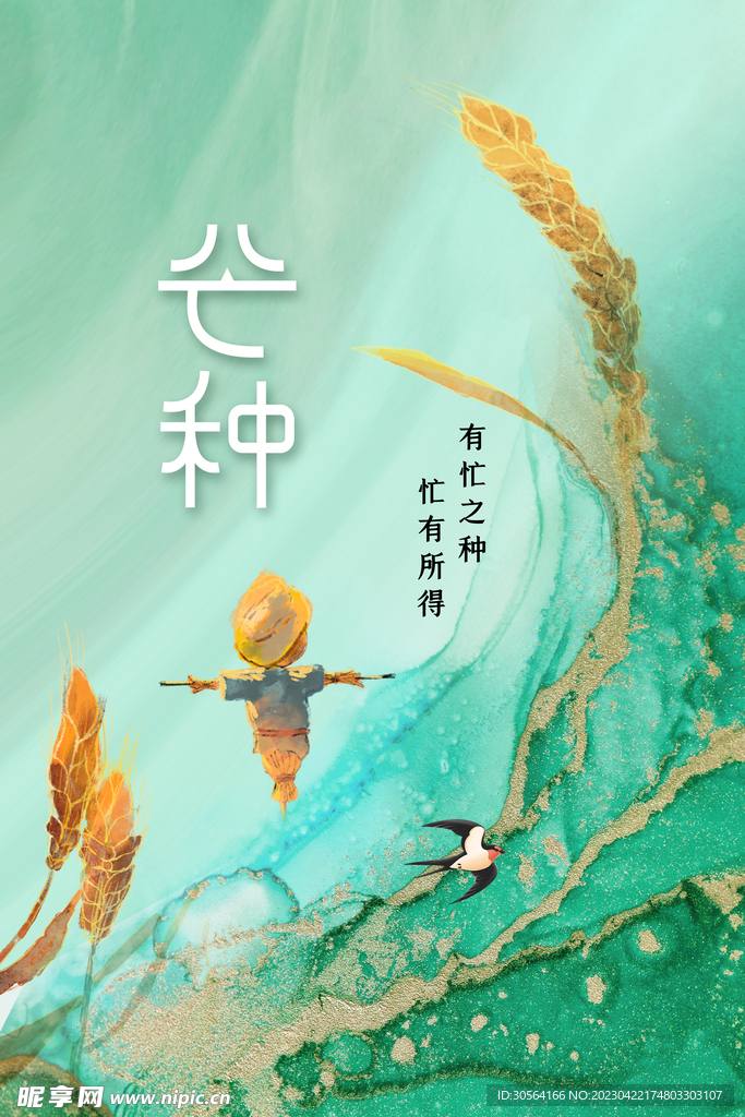 芒种