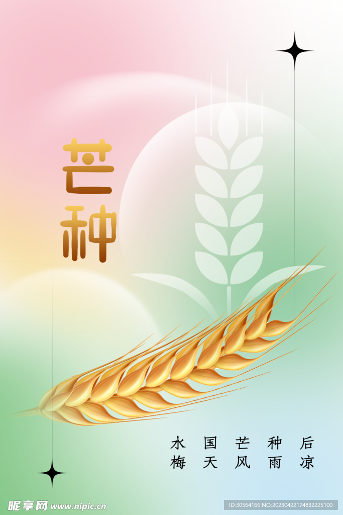 芒种
