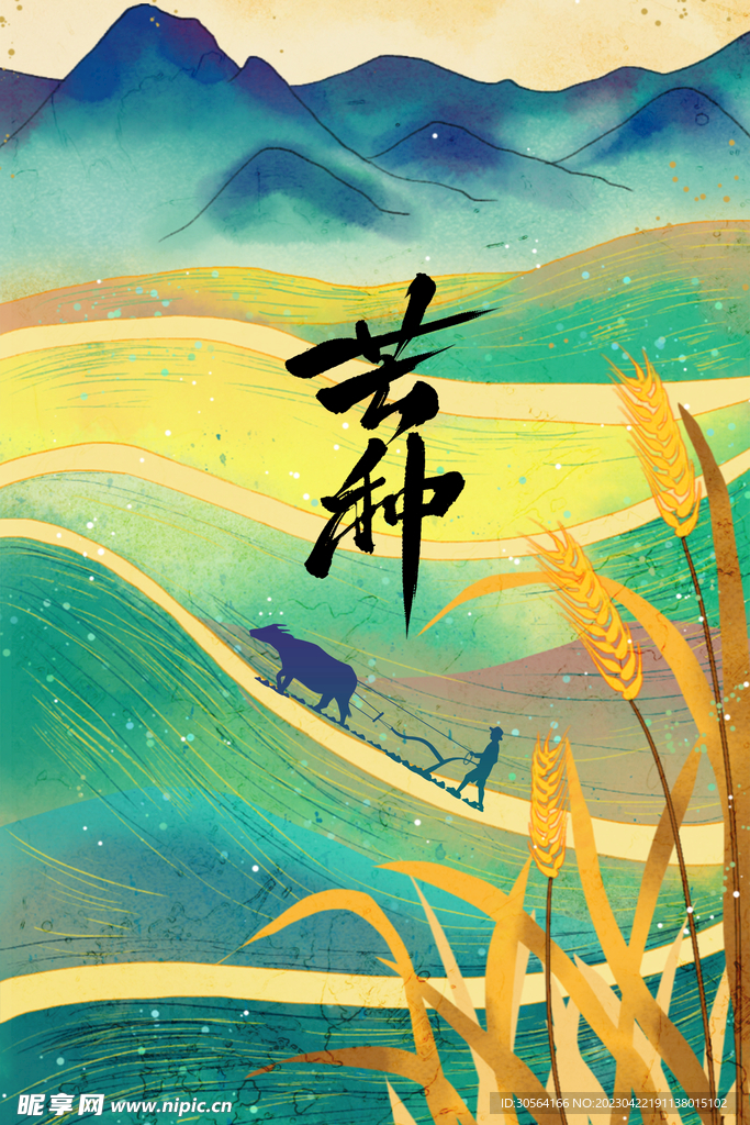 芒种