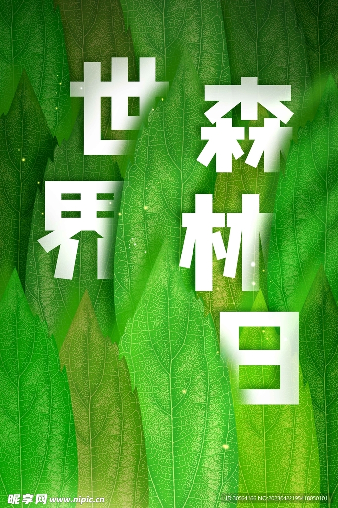 世界森林日