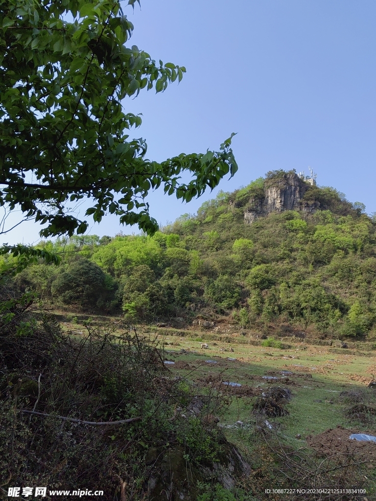 山坡 小山