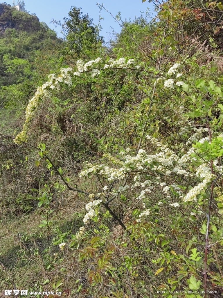 自然风光