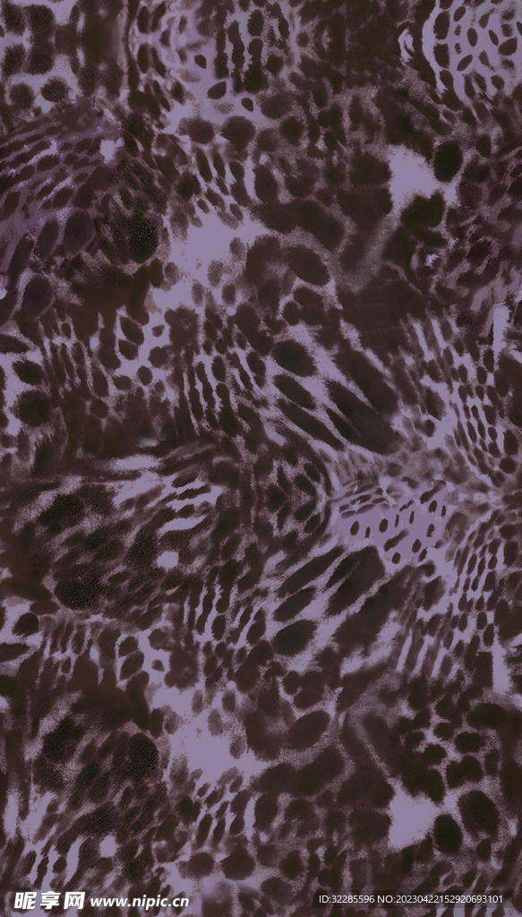 豹纹