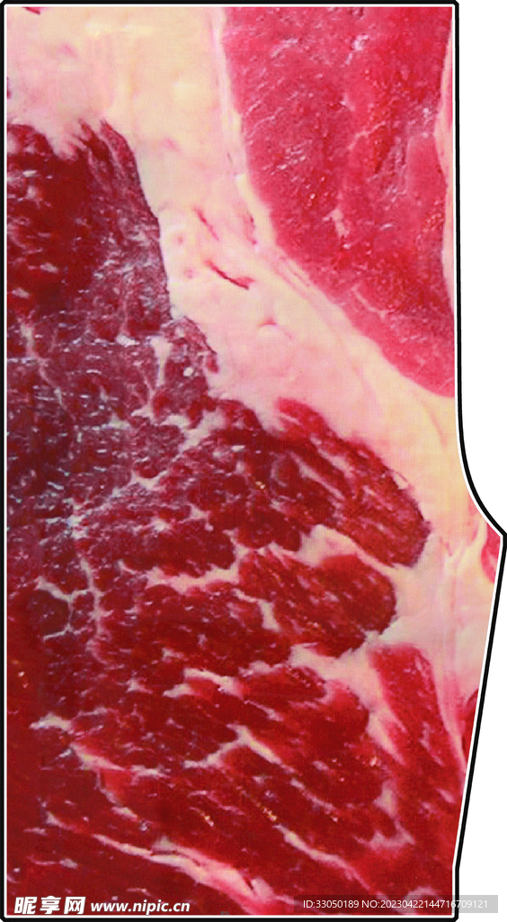 猪肉