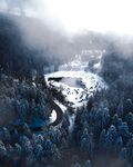 树林