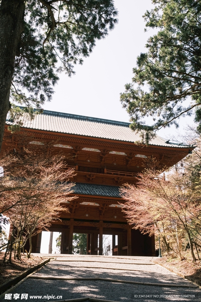 建筑