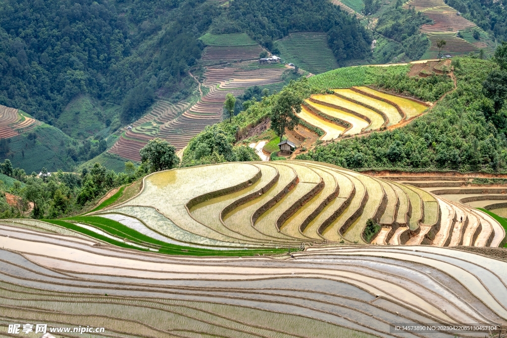 山坡梯田