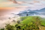 茶山云海