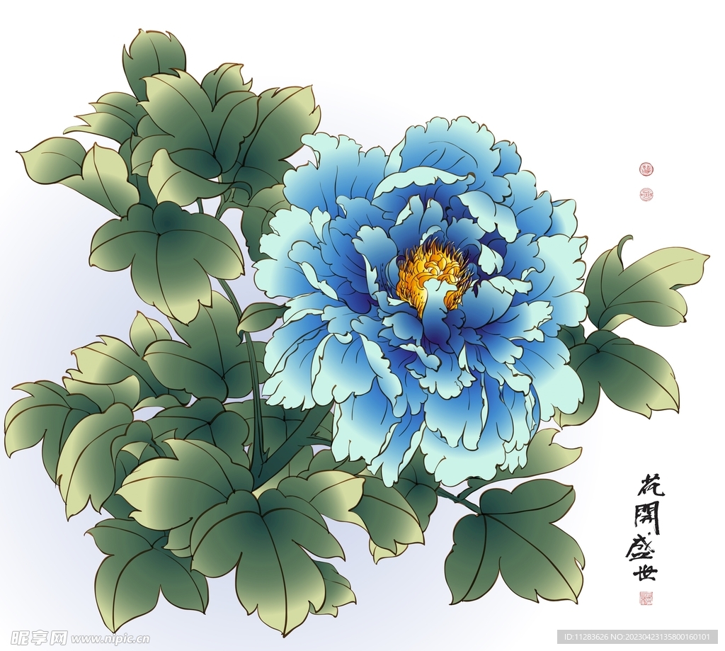 牡丹插画
