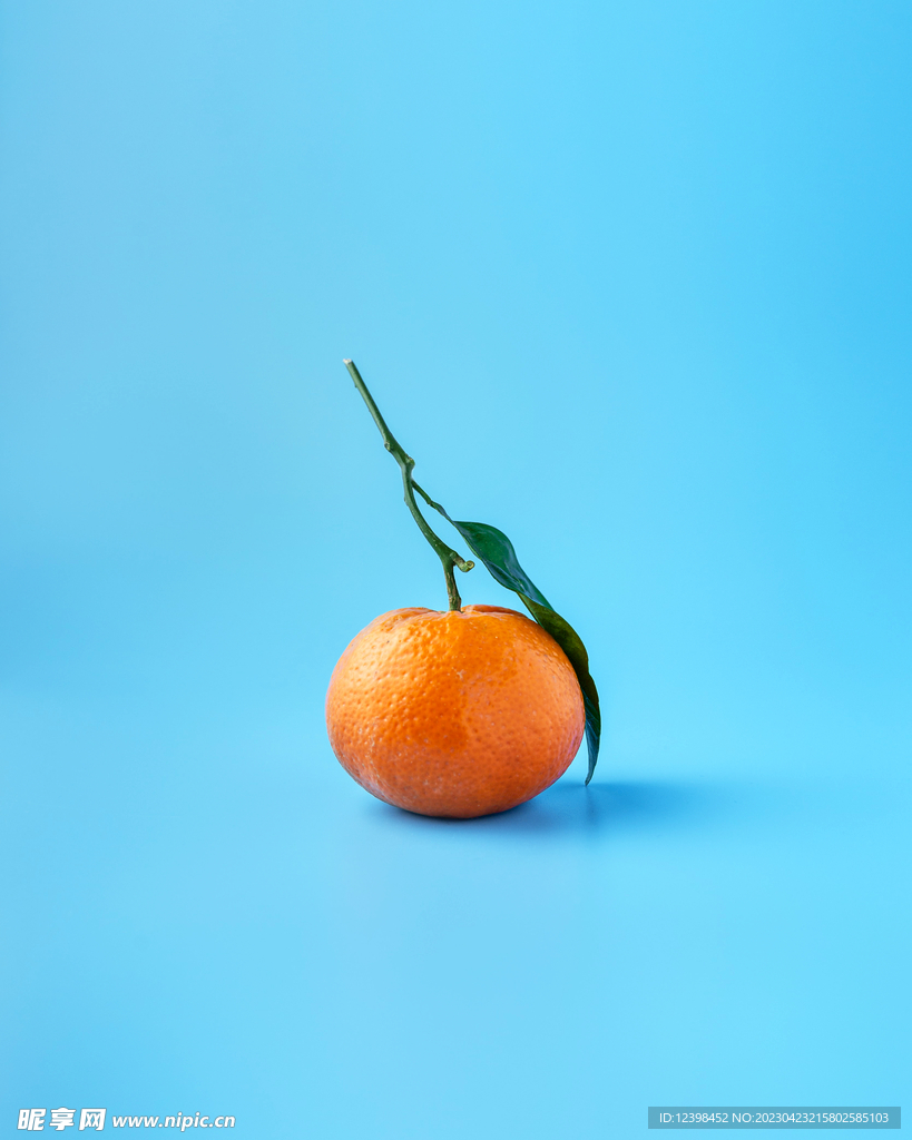 柑橘