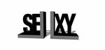 sexy铁艺术摆件模型