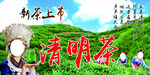 新茶