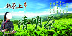 新茶上市