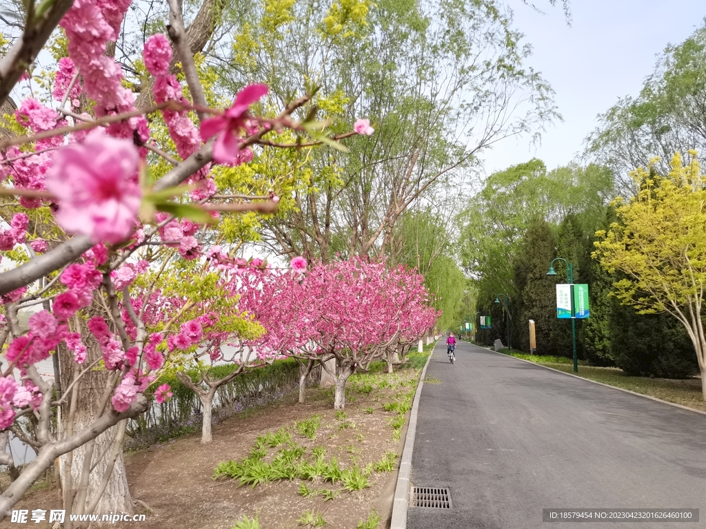 延申的路