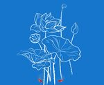 荷花