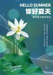 荷花背景夏日美好时光海报