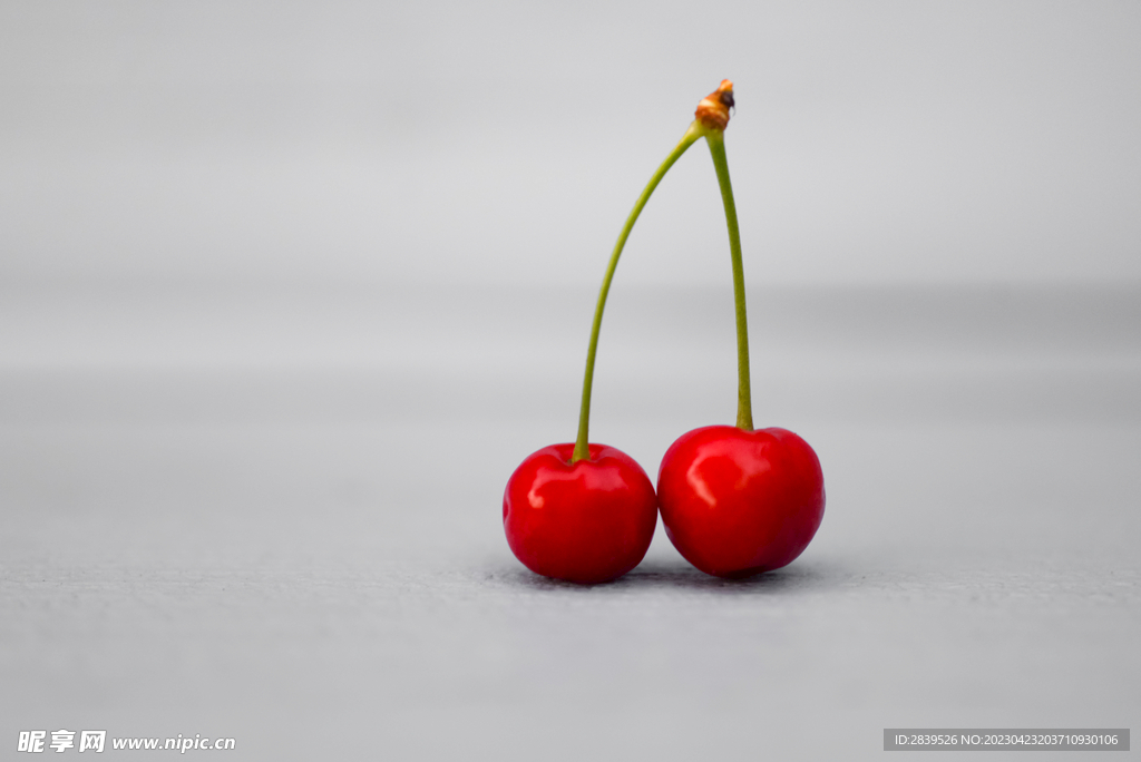 樱桃