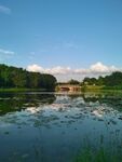 夏天的风景