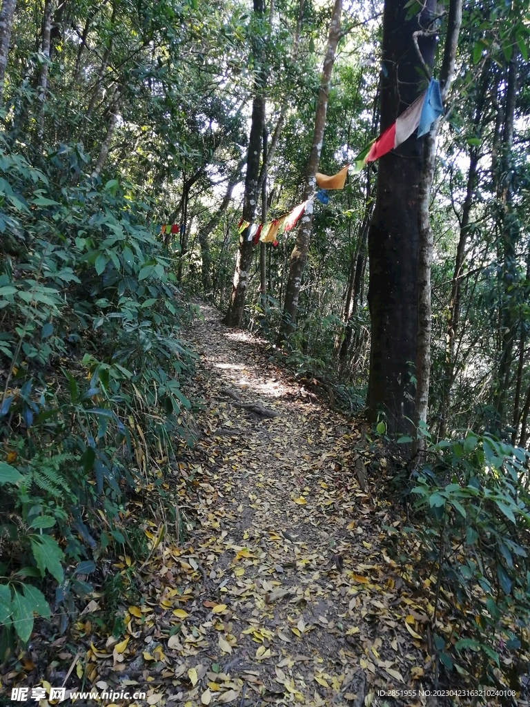 秋天