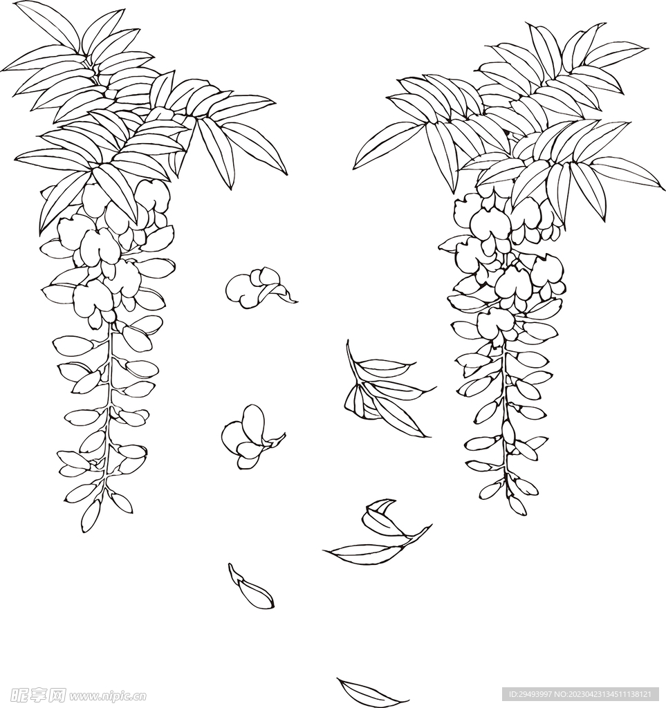 矢量花鸟