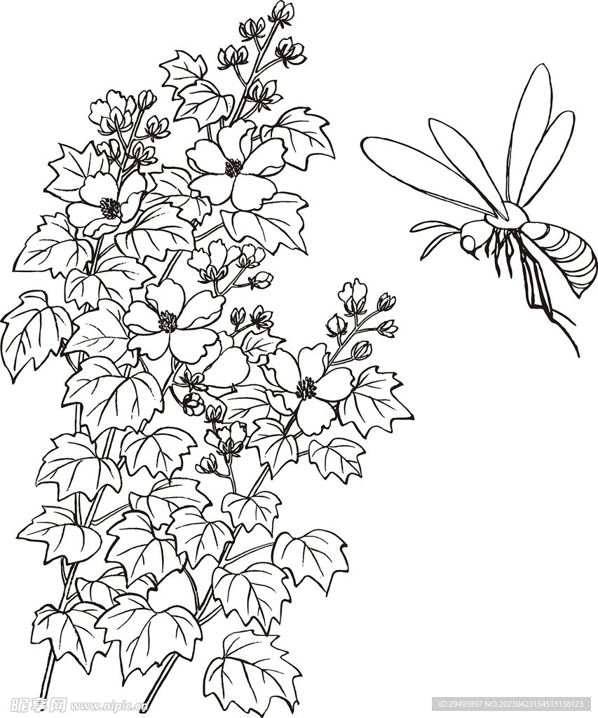矢量花鸟