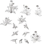 矢量花鸟