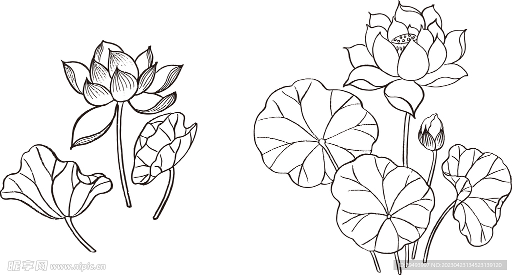 矢量花鸟