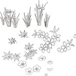 矢量花鸟