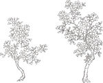 矢量花鸟
