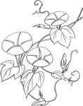 矢量花鸟
