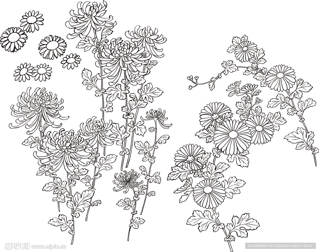 矢量花鸟