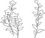矢量花鸟