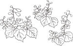 矢量花鸟