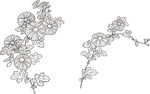 矢量花鸟