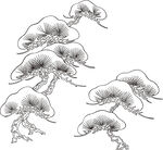 矢量花鸟