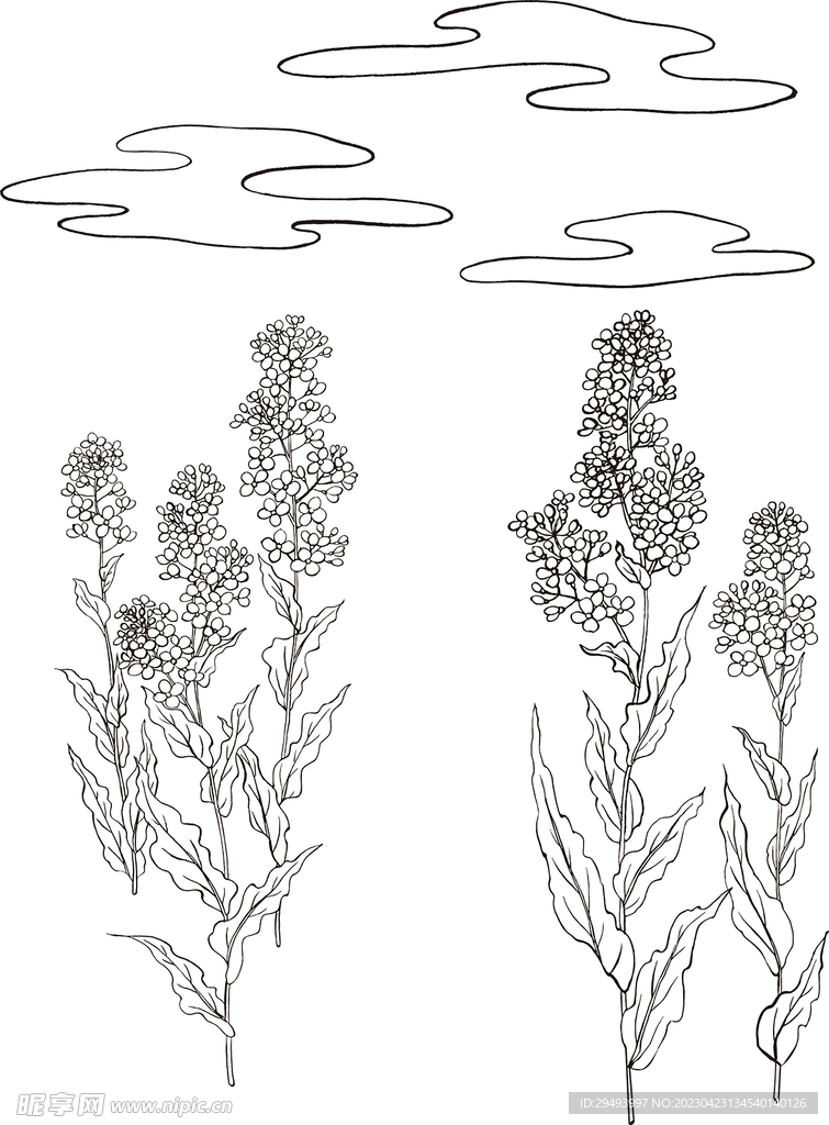 矢量花鸟